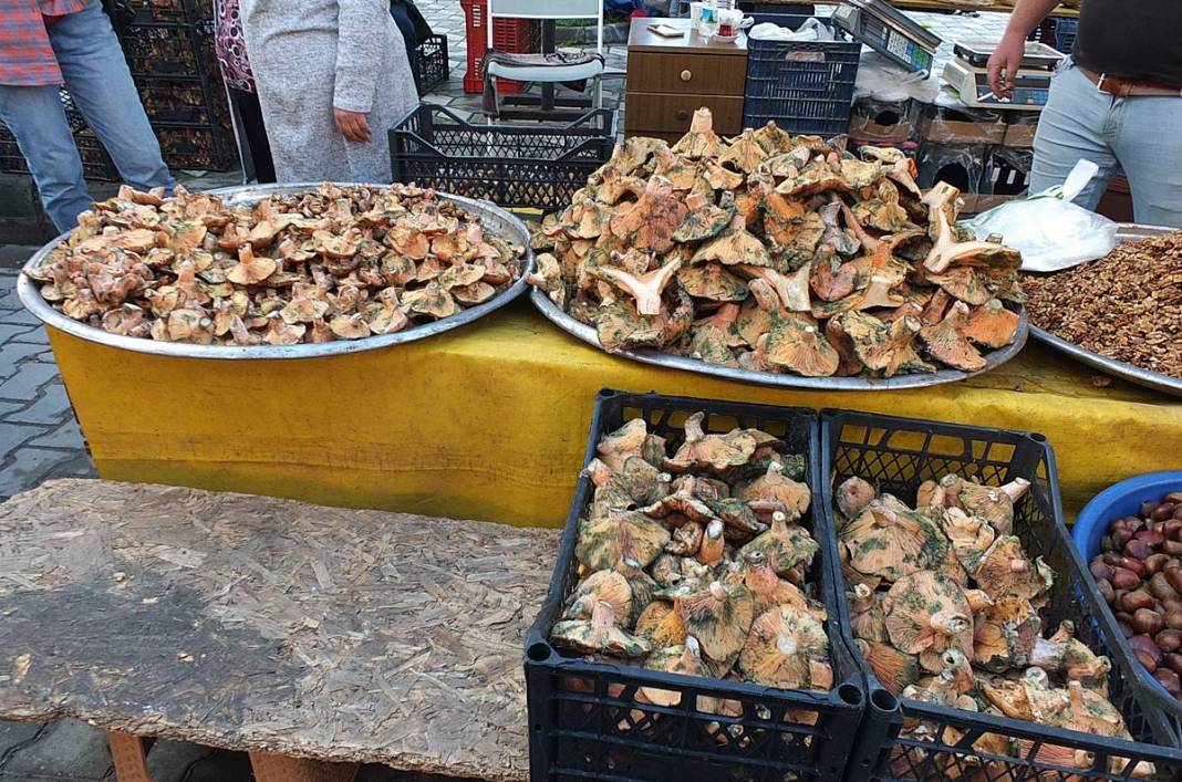 Dağlardan bereket fışkırdı, köylünün yüzü güldü! Kilosu 100 TL'ye kadar düştü 20